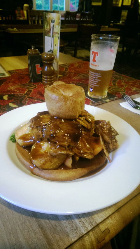 Fox And Hound - Renee 4