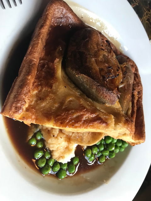 Fox And Hound - Renee 5