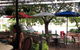 Le Jardin Cafe - thumb 6