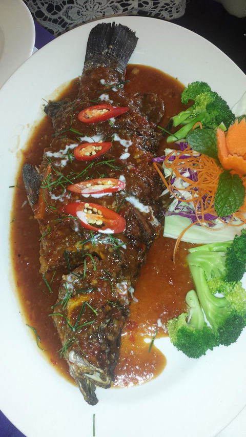 Lemongrass Thai Maudsland - Qld Realsetate 4