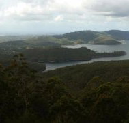 Lower Beechmont Kitchen - Renee