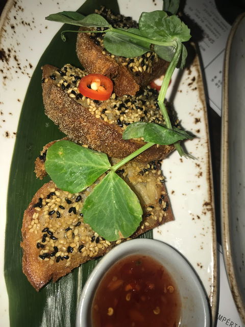 Mr Hizola's - Swimm 5