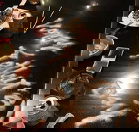 Murasaki Teppanyaki Broadbeach - Internet Find