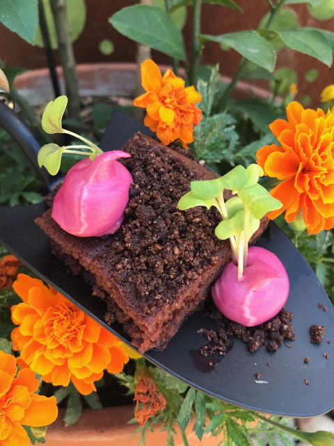 The Allotment Cafe - Renee 1