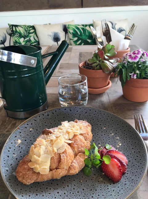 The Allotment Cafe - Renee 5