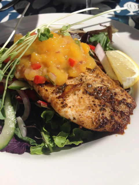 The Anchorage Cafe - Swimm 6