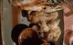Boatshed - thumb 4