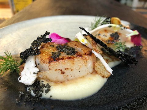 Fusion Art, Bar & Tapas - Renee 0