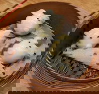 Little Red Dumpling - Renee