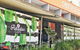 Paradiso Cafe Cairns - thumb 0
