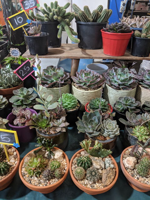 Rusty's Market - Renee 2