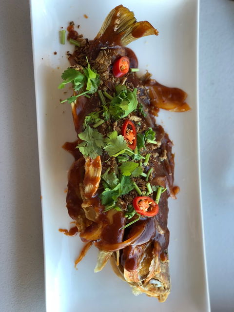 Tia's Cafe In Cairns - Renee 2