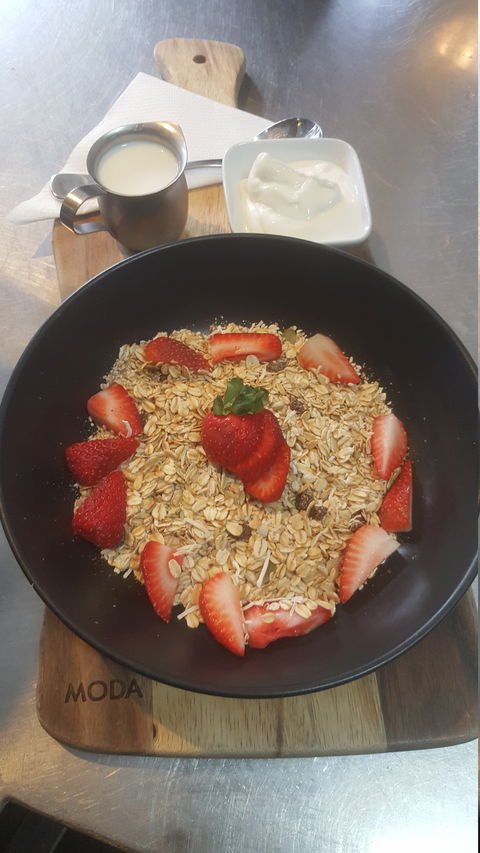 Wild Bean Cafe - Renee 6