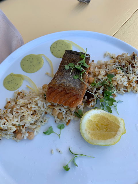 Ocean Ended - Renee 4