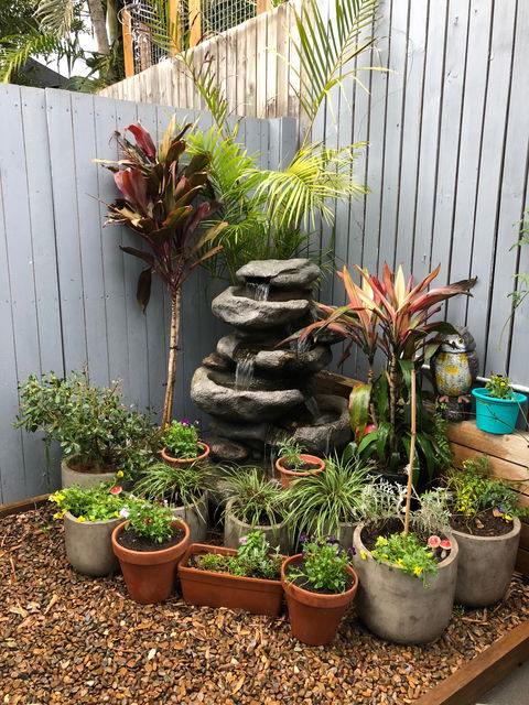 Butcher Baker Coffeemaker - Qld Realsetate 5