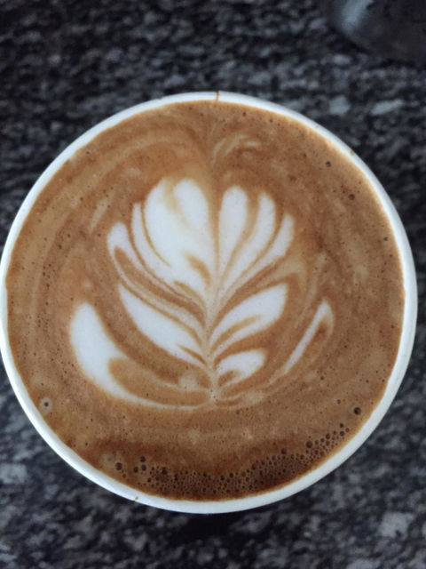 Coolmango Salad Bar - Swimm 2