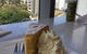 Panorama Cafe - thumb 0