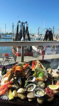 Tempest Seafood Restaurant & Teppanyaki Grill - Swimm 0