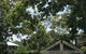 Bribie Island RSL - thumb 6