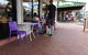 Maleny Bakery - thumb 2