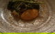 Nu Nu Restaurant - thumb 5