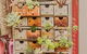 Sherpa Kitchen Garden Cafe - thumb 3