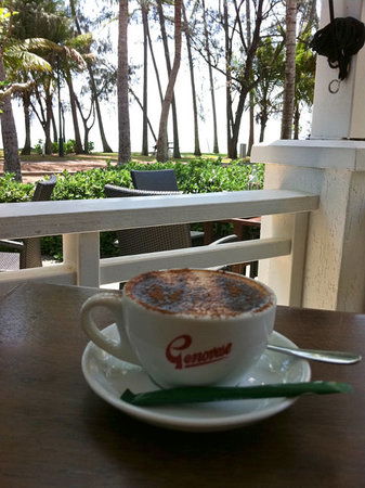 Vivo Palm Cove - Renee 0