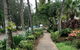 Vivo Palm Cove - thumb 6