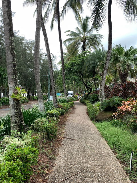 Vivo Palm Cove - Renee 6
