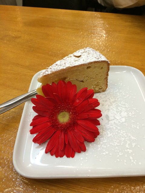 Bryson's Place - Swimm 2