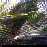 Lorikeet's Coffee Shop