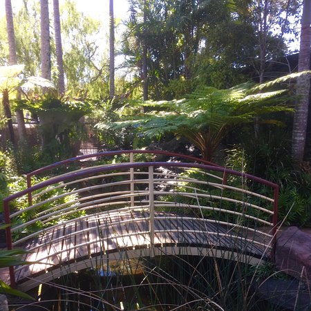 Lorikeet's Coffee Shop - Internet Find 0