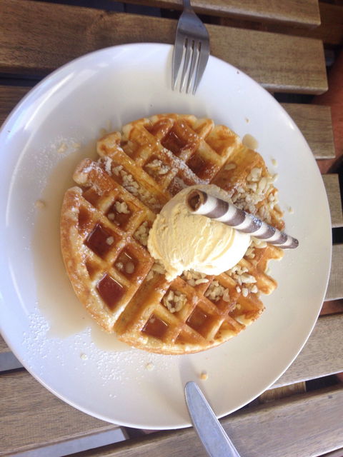 Spring, Eats And Treats - Swimm 3