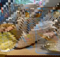 Spring Eats and Treats - Internet Find