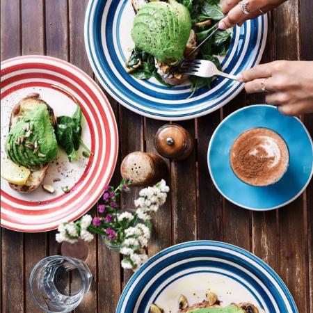 The Early Bird - Swimm 0