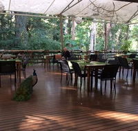 The Restaurant at Cedar Park - Swimm