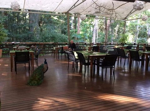 The Restaurant At Cedar Park - Swimm 0