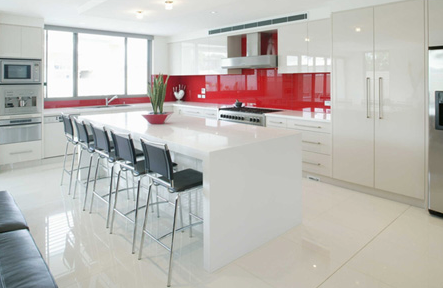 Pro Form Tops - Renee 2