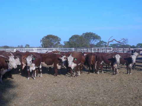 Territory Rural McPherson - Internet Find 2
