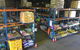 Mackay Rural Supplies Pty Ltd - thumb 0