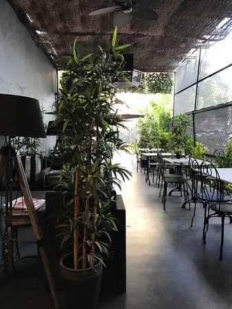 Acorn House - Renee 0