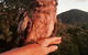 Cafe Anywhere - thumb 0