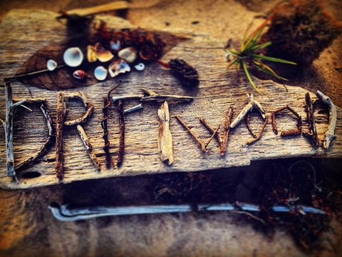 Driftwood Cafe - Renee 0