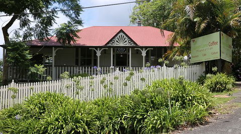 Green Lane Coffee Plantation - Renee 0