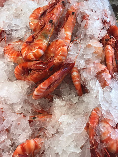 Kisseafoods - Renee 1
