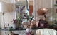 Laidley Florist And Tea Room - thumb 5