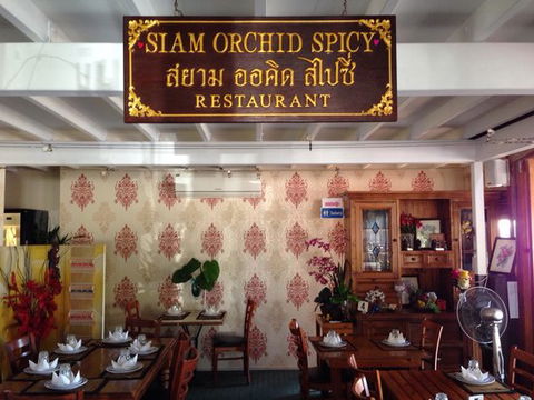 Siam Orchid Spicy - Renee 0
