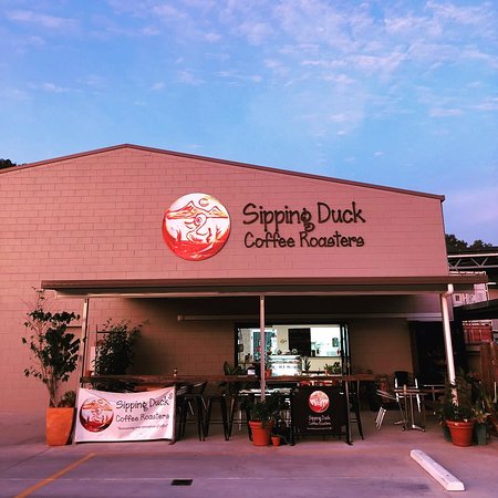 Sipping Duck Coffee Stratford - Renee 0
