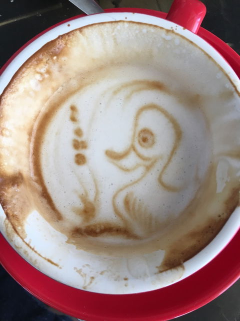 Sipping Duck Coffee Stratford - Renee 2