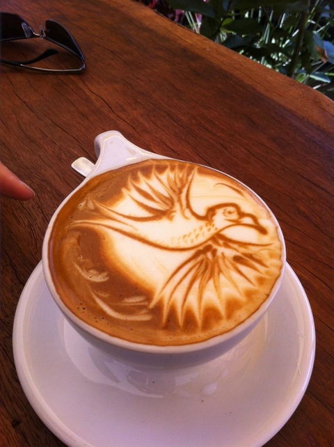 Sipping Duck Coffee Stratford - Renee 4